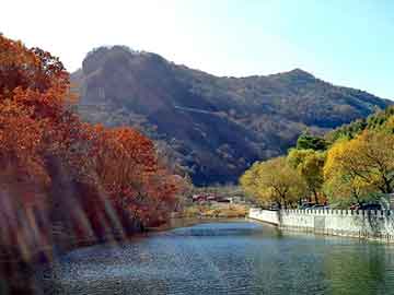 新澳天天开奖资料大全旅游团，吸塑裁断机